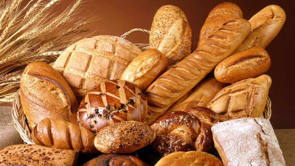 PANE 05